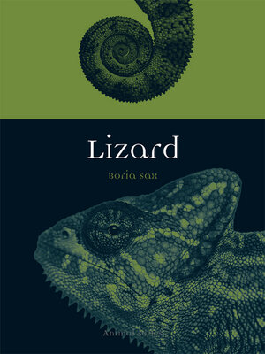 cover image of Lizard